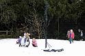 Snowy_Weather_Feb_09 (17)